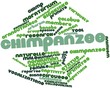 Word cloud for Chimpanzee