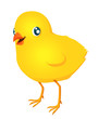Easter Chick