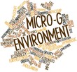 Word cloud for Micro-g environment