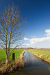 Dutch Agriculture Landscape