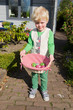 Photo: Found easter eggs Found easter eggs