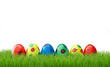 Easter eggs in grass