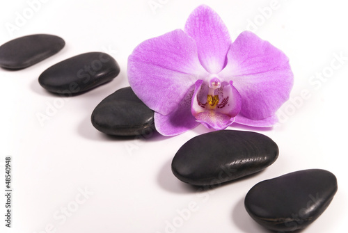 Photo: Stones and orchid Stones and orchid