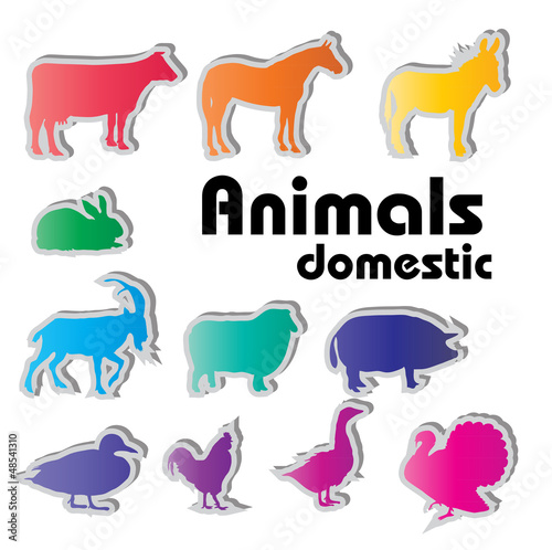 Vector: vector domestic animals silhouettes vector domestic animals silhouettes