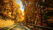 Time lapse fall drive through twisty road