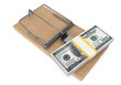 Money in a mousetrap