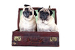 Photo: Where are we going? Where are we going?