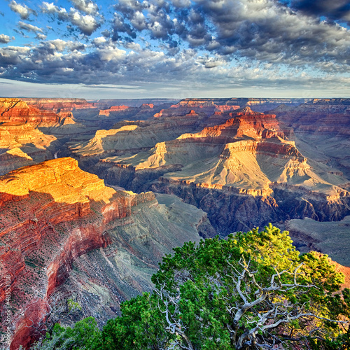 Photo: morning light at Grand Canyon morning light at Grand Canyon
