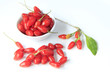 Goji-Beeren (Lycium barbarum)