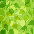 Seamless pattern with green birch leaves.