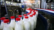 bottles with milk go on conveyor belt