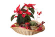 floral arrangement on white background