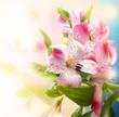 Beautiful flowers background