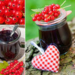 Red currant jam collage