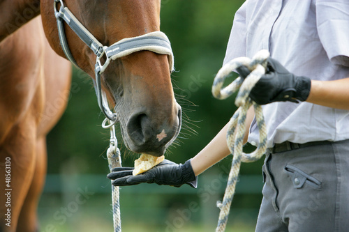 Photo: L-Cheval L-Cheval