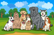 purebred dogs group cartoon illustration