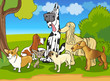 purebred dogs group cartoon illustration