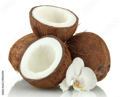 Photo: Coconuts with flower, isolated on white Coconuts with flower, isolated on white