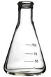 Empty erlenmeyer flask