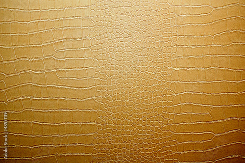 Photo: Snake skin, reptile Snake skin, reptile