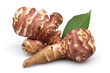 jerusalem artichoke