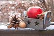 apple