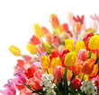 Spring awakening: floral bouquet with tulips and daffodils