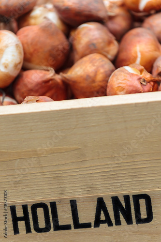 Photo: Crate with Dutch flower bulbs Crate with Dutch flower bulbs