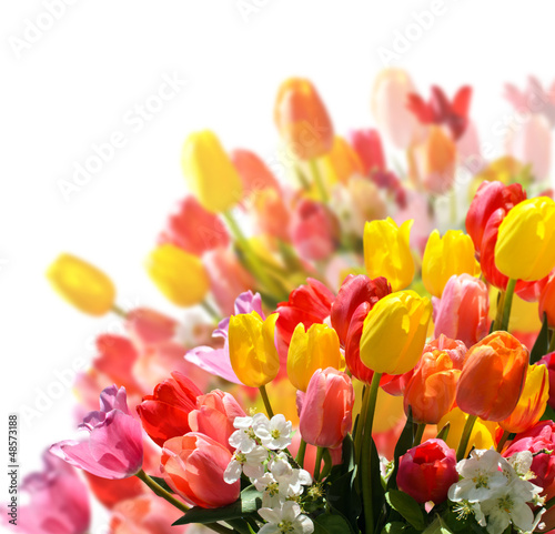 Photo: Spring awakening: floral bouquet with tulips and daffodils Spring awakening: floral bouquet with tulips and daffodils
