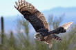 Daytime Flight