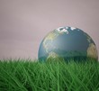 pianeta terra appoggiato sull'erba