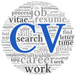Curriculum vitae  concept in word tag cloud