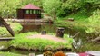 Dining table is set in bower ashore of pond at among trees