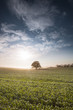 Farmland