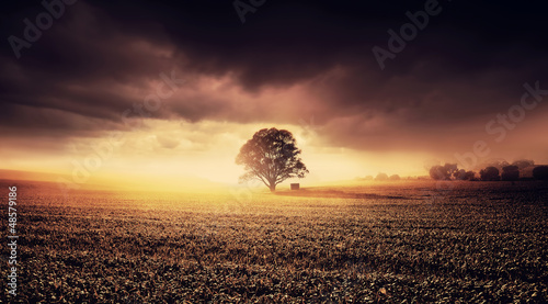 Photo: Golden Valley Golden Valley