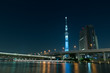 Foto: 東京スカイツリーの夜景 東京スカイツリーの夜景