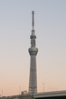 Foto: 黄昏の東京スカイツリー 黄昏の東京スカイツリー