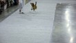 Women run with dog breed of artuazskaya hound