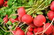 close up of radish on market stand
