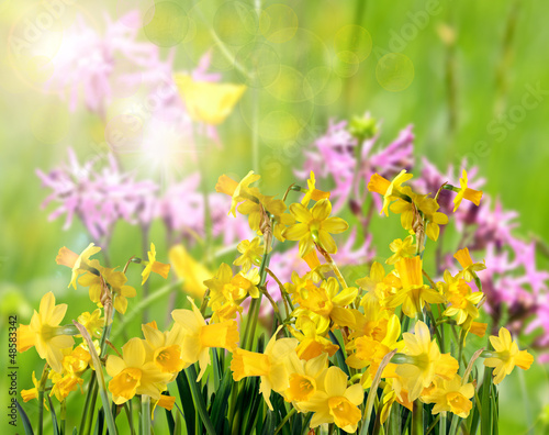 Photo: Happ Easter: spring awakening Happ Easter: spring awakening