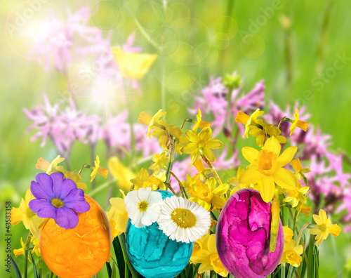 Photo: Ostereier auf Frühlingswiese Ostereier auf Frühlingswiese