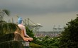 Seated meditating Buddha views busy container seaport