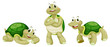 Turtles