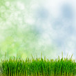 Frühling, Frohe Ostern, Hintergrund, Gras