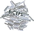 Word cloud for Biceps