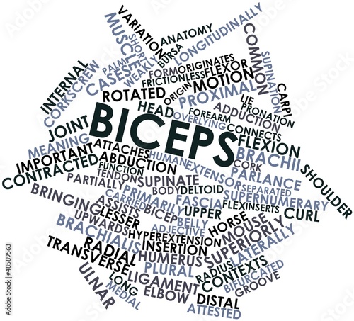 Illustration: Word cloud for Biceps Word cloud for Biceps