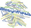 Word cloud for Biosynthesis