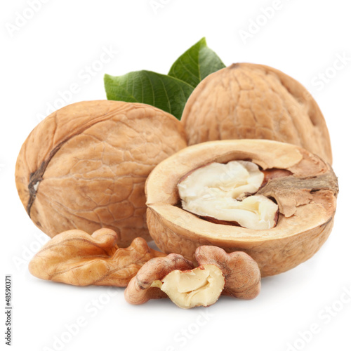 Photo: Walnut isolated Walnut isolated