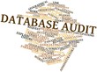 Word cloud for Database audit