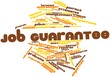 Word cloud for Job guarantee